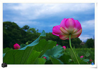 起業して新たな道が見えたので