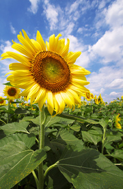 考えすぎて自分らしくなくなってました