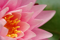 やりたいことを探しに。