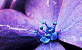 創業の準備をするために