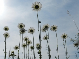 方向性を鮮明にしたかったので