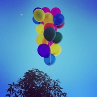 講師として活用したいから