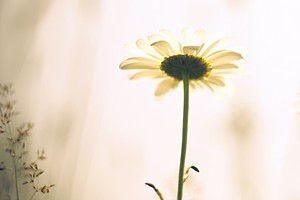 行動計画で焦りが解消されました！